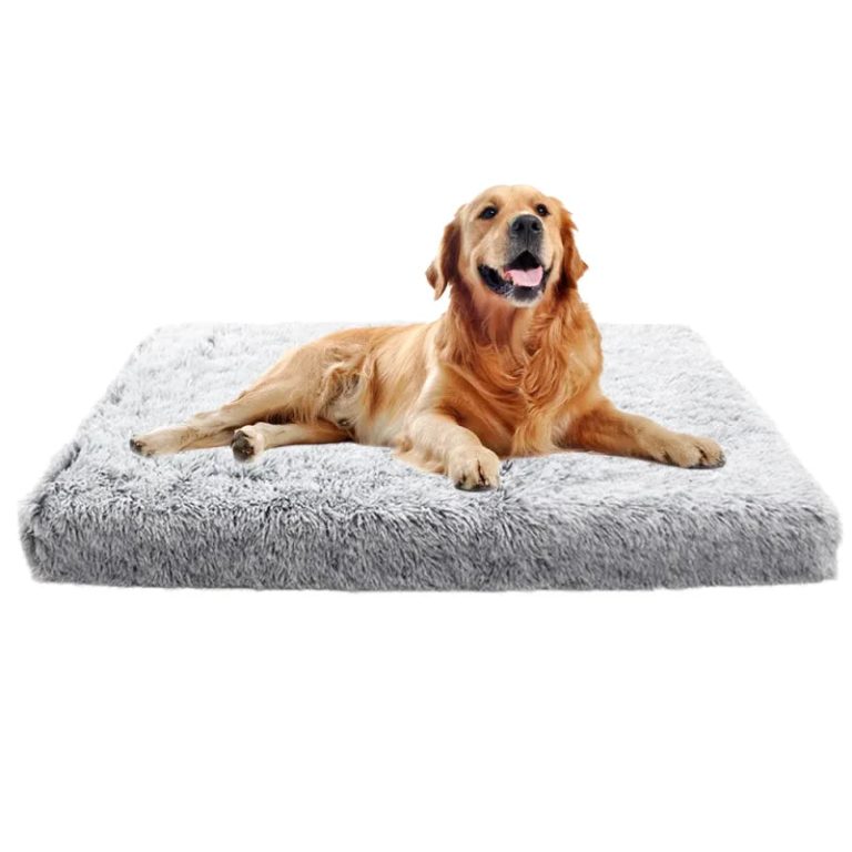 Tapis pour Chien Le tapis favoris de vos compagnons canins — free download